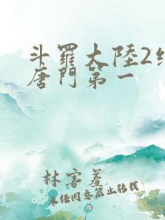 斗罗大陆2绝世唐门第一