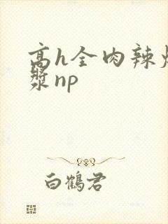 高h全肉辣爆灌浆np