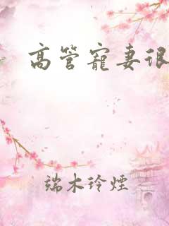 高管宠妻很丰满