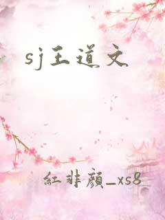 sj王道文