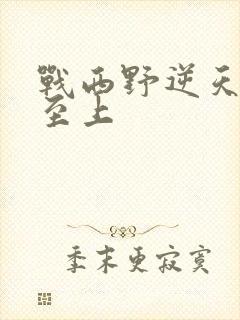 战西野逆天神妃至上