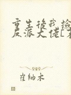 重生后我捡到了反派大佬[末世]