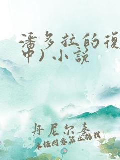 潘多拉的复仇(中) 小说