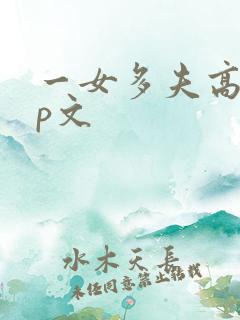 一女多夫高辣np文
