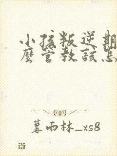 小孩叛逆期该怎么管教该怎么办