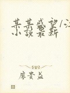 某某盛望/江添小说最新