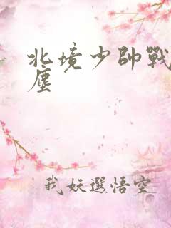 北境少帅战神苏尘