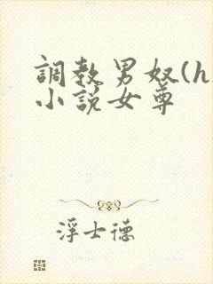 调教男奴(h)小说女尊