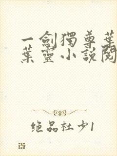 一剑独尊叶玄,叶灵小说阅读