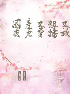 国产又粗又猛又爽免费播放视频