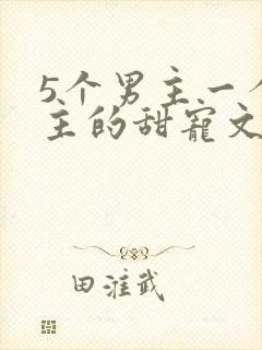 5个男主一个女主的甜宠文