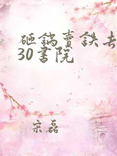 砸锅卖铁去上学30书院