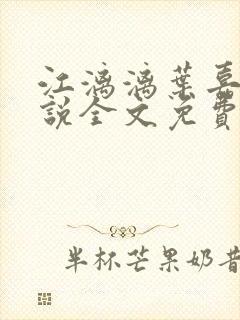 江漓漓叶嘉衍小说全文免费阅读