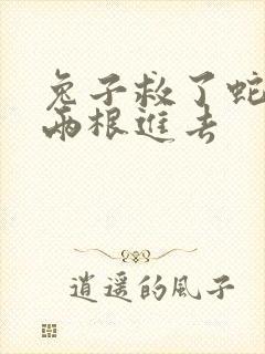 兔子救了蛇被蛇两根进去