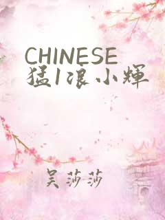 CHINESE猛1浪小辉