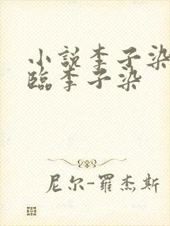 小说李子染叶君临李子染