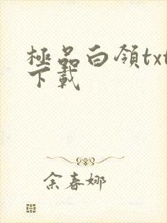 极品白领txt下载