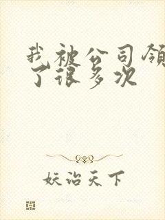 我被公司领导C了很多次