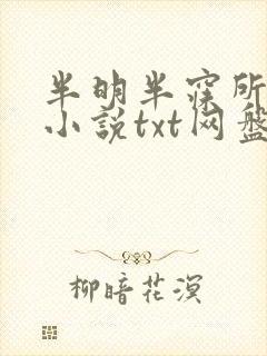 半明半寐所有的小说txt网盘