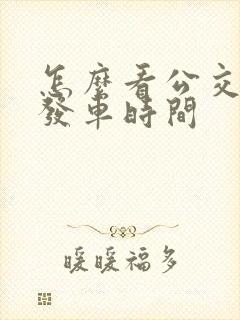 怎么看公交车的发车时间