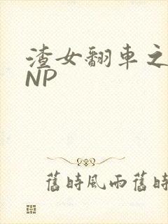 渣女翻车之后 NP