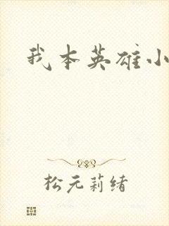 我本英雄小说