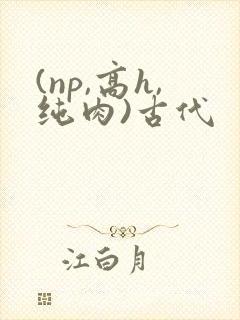 (np,高h,纯肉)古代