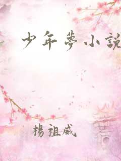少年梦小说
