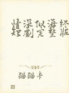 情深似海终成空短剧完整版免费看