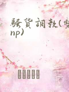 骚货调教(双性np)