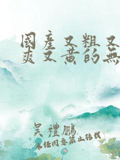 国产又粗又猛又爽又黄的无遮挡视频