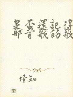 是否还记得我是哪首歌的歌词