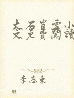 大石肖雪小说全文免费阅读