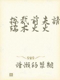 总裁前夫请自重端木火火