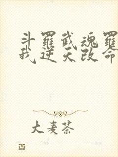 斗罗武魂罗三炮我逆天改命