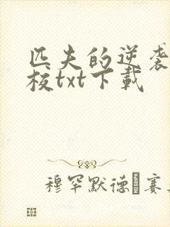 匹夫的逆袭骁骑校txt下载