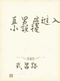 直男癌进入言情小说后