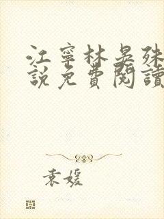 江宁林晏殊的小说免费阅读