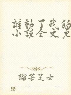 谁动了我的老婆小说全文免费阅读一