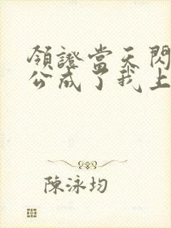 领证当天闪婚老公成了我上司