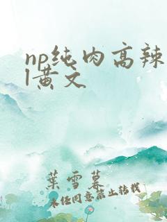 np纯肉高辣bl黄文