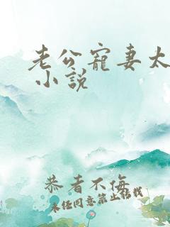 老公宠妻太甜蜜 小说