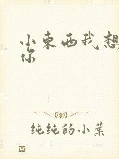 小东西我想弄坏你