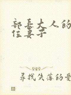 部长大人的另一位妻子