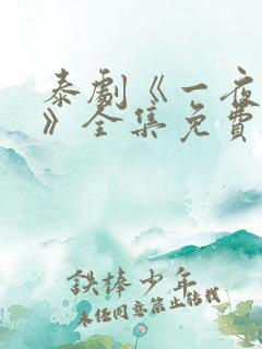 泰剧《一夜轻欢》全集免费看