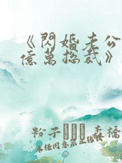 《闪婚老公竟是亿万总裁》小说