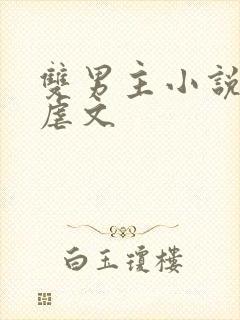 双男主小说推荐虐文