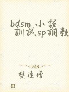 bdsm 小说 训诫sp调教