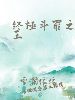 终极斗罗之灵龙王