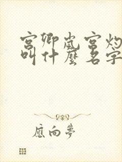 宫卿岚宫灼小说叫什么名字